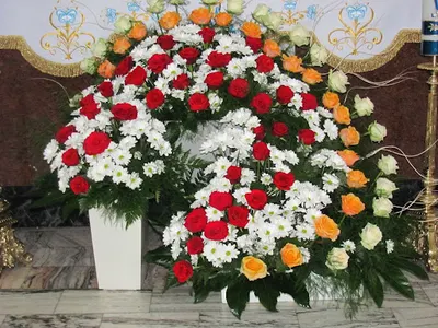 Impresja. Kwiaciarnia. Jastrząb E., Kinach E.